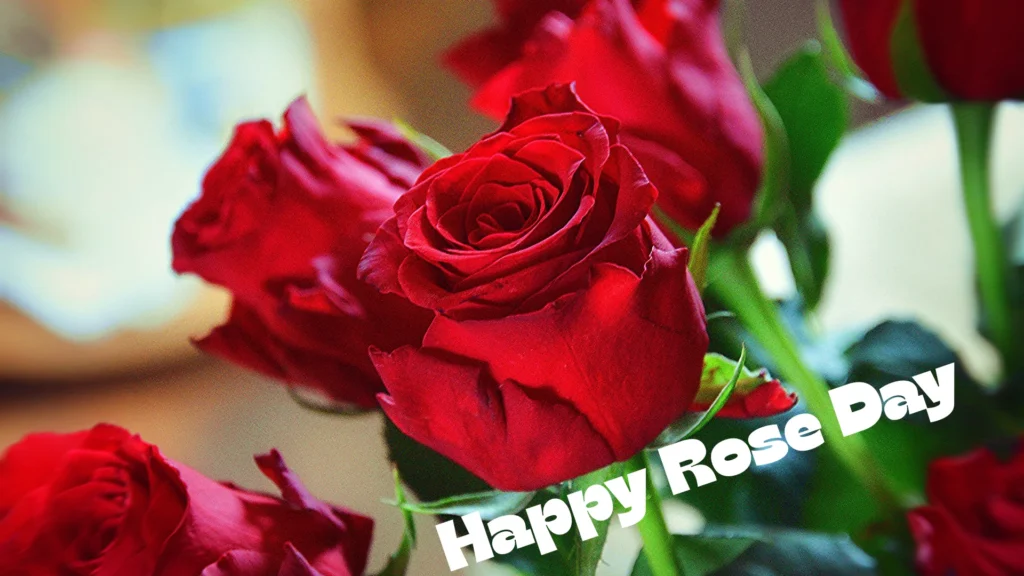 Rose Day