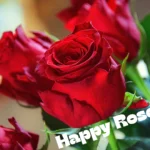 Rose Day